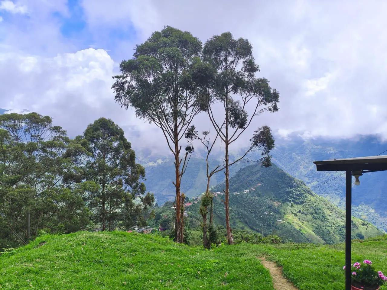 Sembrar árboles es sembrar vida. Cada árbol que nace purifica el aire, protege el suelo, atrae la lluvia y da hogar a miles de especies. Son guardianes silenciosos que refrescan el planeta y nos regalan sombra, alimento y esperanza. En un mundo herido por la deforestación y el cambio climático, plantar un árbol es un acto de amor, de conciencia y de futuro. Porque en cada semilla hay una promesa de equilibrio… y una nueva oportunidad para la vida.